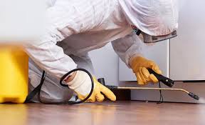 Best Pest Prevention Services  in Wills Point, TX